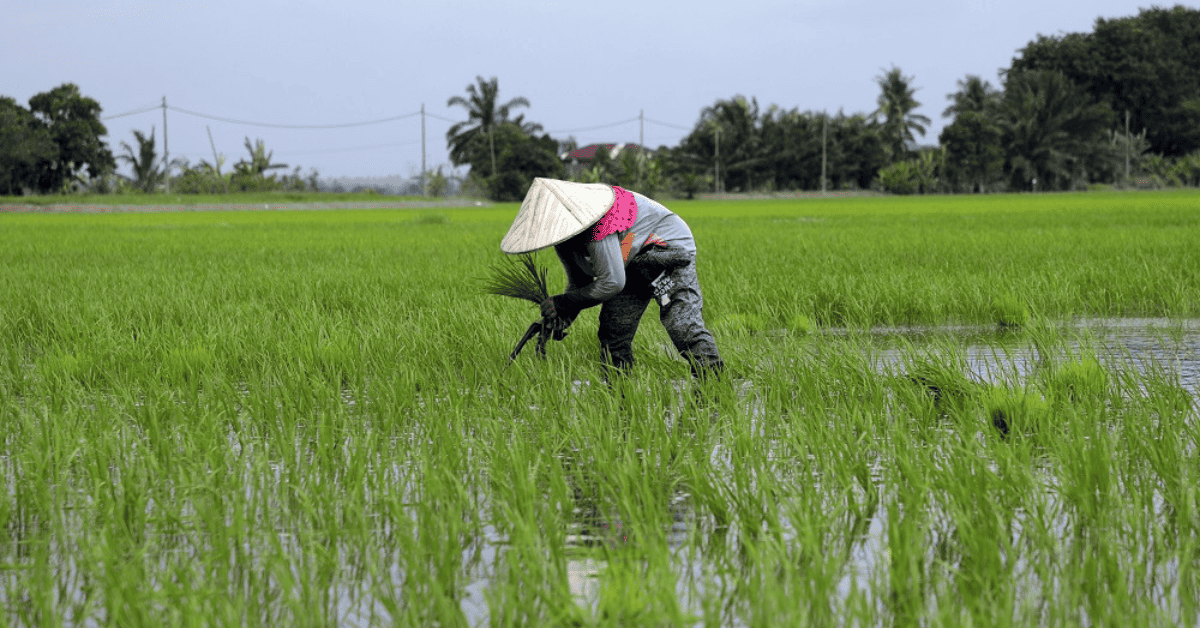 Pertumbuhan Ekonomi Desa Melalui Program Desa Mandiri