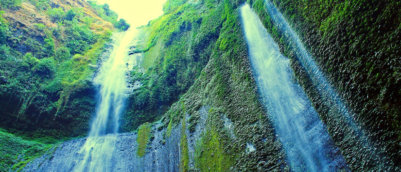 Surga Tersembunyi: Tempat Wisata Unik yang Harus Dikunjungi